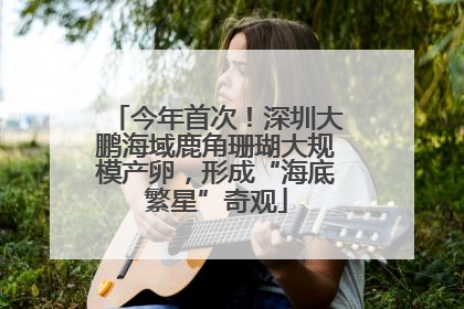 今年首次！深圳大鹏海域鹿角珊瑚大规模产卵，形成“海底繁星”奇观