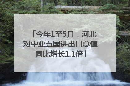 今年1至5月，河北对中亚五国进出口总值同比增长1.1倍