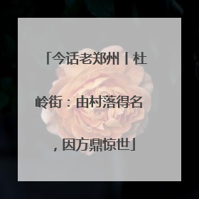 今话老郑州丨杜岭街：由村落得名，因方鼎惊世