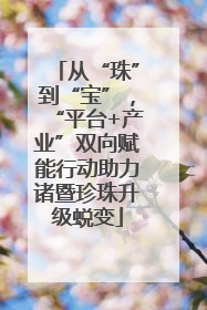 从“珠”到“宝”，“平台+产业”双向赋能行动助力诸暨珍珠升级蜕变