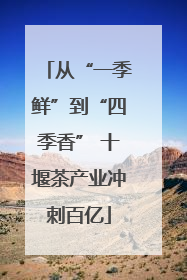 从“一季鲜”到“四季香” 十堰茶产业冲刺百亿