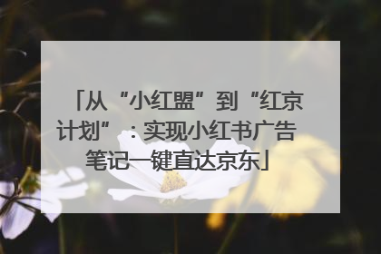 从“小红盟”到“红京计划”：实现小红书广告笔记一键直达京东