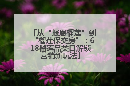 从“报恩榴莲”到“榴莲保交房”：618榴莲品类日解锁营销新玩法