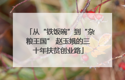 从“铁饭碗”到“杂粮王国” 赵玉娥的三十年扶贫创业路