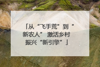 从“飞手荒”到“新农人” 激活乡村振兴“新引擎”