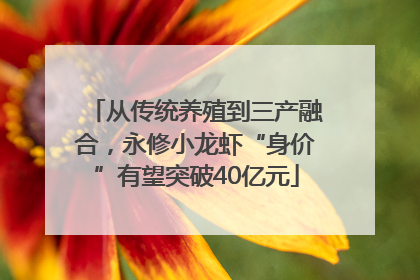 从传统养殖到三产融合，永修小龙虾“身价”有望突破40亿元
