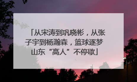 从宋涛到巩晓彬，从张子宇到杨瀚森，篮球逐梦山东“高人”不停歇