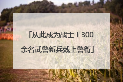 从此成为战士！300余名武警新兵戴上警衔