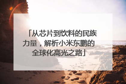 从芯片到饮料的民族力量，解析小米东鹏的全球化高光之路