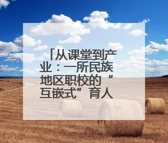 从课堂到产业：一所民族地区职校的“互嵌式”育人实践