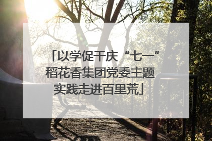 以学促干庆“七一” 稻花香集团党委主题实践走进百里荒