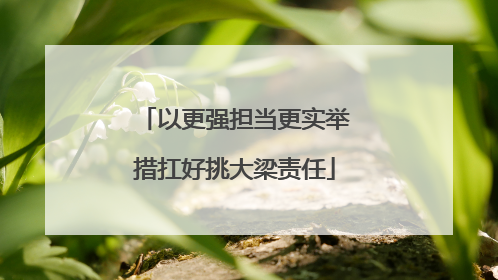 以更强担当更实举措扛好挑大梁责任