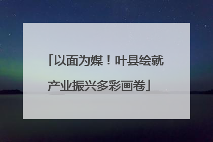 以面为媒！叶县绘就产业振兴多彩画卷