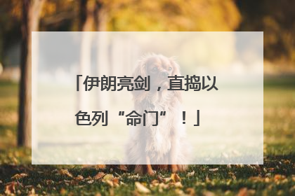 伊朗亮剑，直捣以色列“命门”！