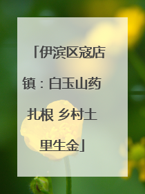 伊滨区寇店镇：白玉山药扎根 乡村土里生金