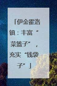 伊金霍洛镇：丰富“菜篮子”，充实“钱袋子”