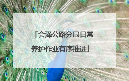 会泽公路分局日常养护作业有序推进