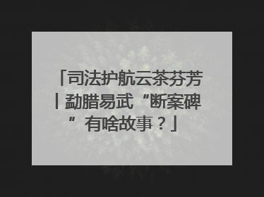 司法护航云茶芬芳丨勐腊易武“断案碑”有啥故事？