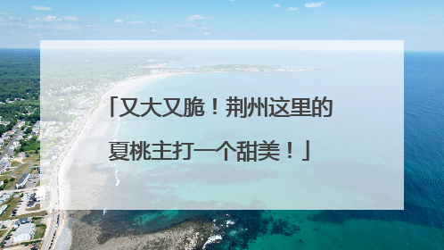又大又脆！荆州这里的夏桃主打一个甜美！