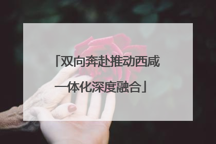 双向奔赴推动西咸一体化深度融合