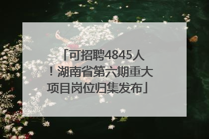 可招聘4845人！湖南省第六期重大项目岗位归集发布
