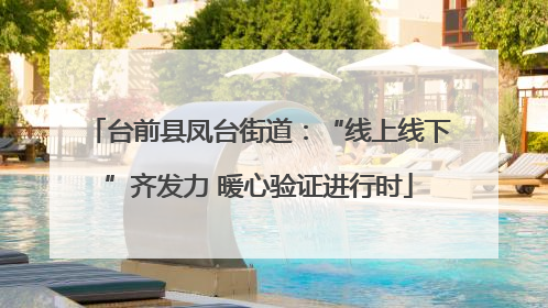 台前县凤台街道：“线上线下”齐发力 暖心验证进行时