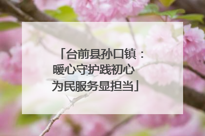 台前县孙口镇：暖心守护践初心 为民服务显担当