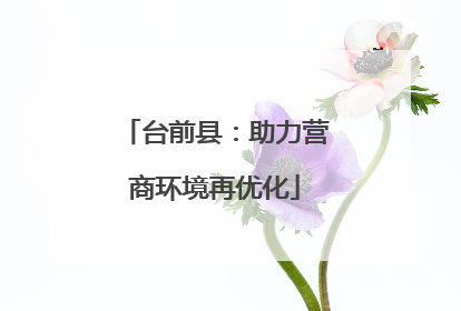 台前县：助力营商环境再优化
