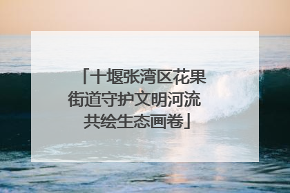 十堰张湾区花果街道守护文明河流 共绘生态画卷
