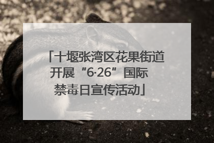 十堰张湾区花果街道开展“6·26”国际禁毒日宣传活动