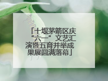 十堰茅箭区庆“六一”文艺汇演暨五育并举成果展圆满落幕