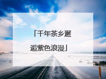 千年茶乡邂逅紫色浪漫