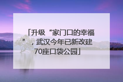 升级“家门口的幸福”，武汉今年已新改建70座口袋公园