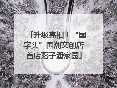 升级亮相！“国字头”国潮文创店首店落子潘家园