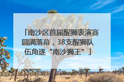南沙区首届醒狮表演赛圆满落幕，38支醒狮队伍角逐“南沙狮王”