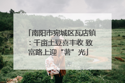 南阳市宛城区瓦店镇：千亩土豆喜丰收 致富路上迎“薯”光