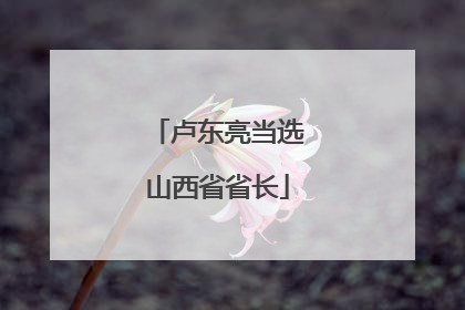 卢东亮当选山西省省长