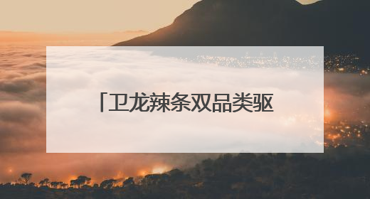 卫龙辣条双品类驱动，领航辣味休闲食品行业千亿赛道