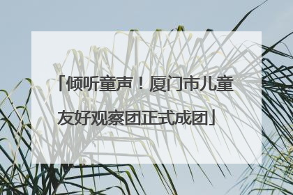 倾听童声！厦门市儿童友好观察团正式成团