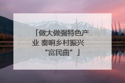 做大做强特色产业 奏响乡村振兴“富民曲”
