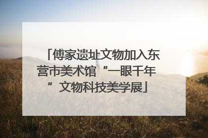 傅家遗址文物加入东营市美术馆“一眼千年”文物科技美学展