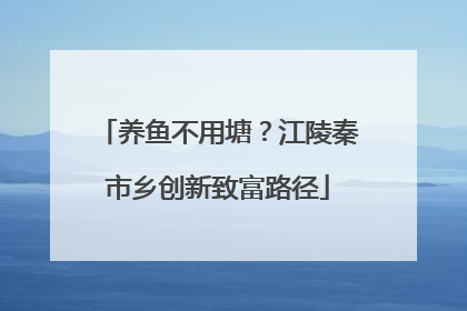 养鱼不用塘？江陵秦市乡创新致富路径