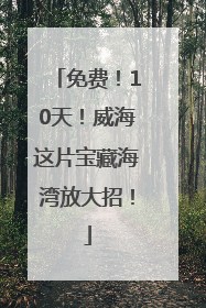 免费！10天！威海这片宝藏海湾放大招！