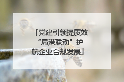 党建引领提质效 “局港联动”护航企业合规发展