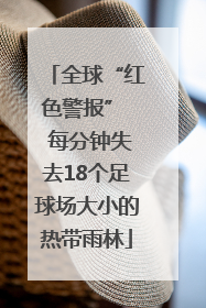 全球“红色警报”  每分钟失去18个足球场大小的热带雨林