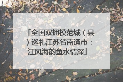 全国双拥模范城（县）巡礼江苏省南通市：江风海韵鱼水情深