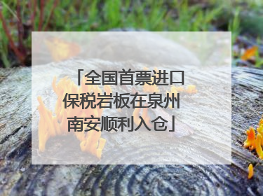 全国首票进口保税岩板在泉州南安顺利入仓