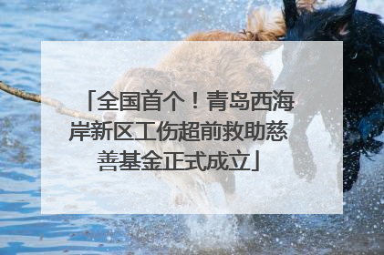 全国首个！青岛西海岸新区工伤超前救助慈善基金正式成立
