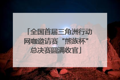 全国首届三角洲行动网咖邀请赛“熊族杯”总决赛圆满收官