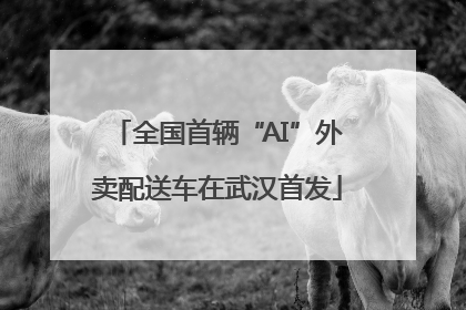全国首辆“AI”外卖配送车在武汉首发